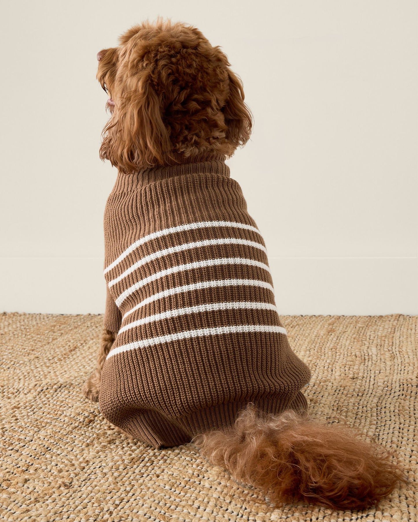 Organic Cotton Striped Dog Sweater