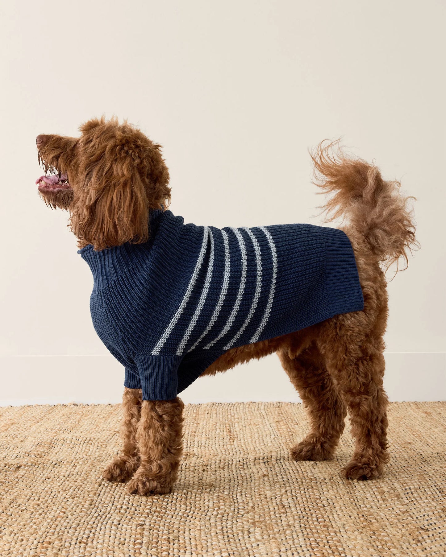 Organic Cotton Striped Dog Sweater