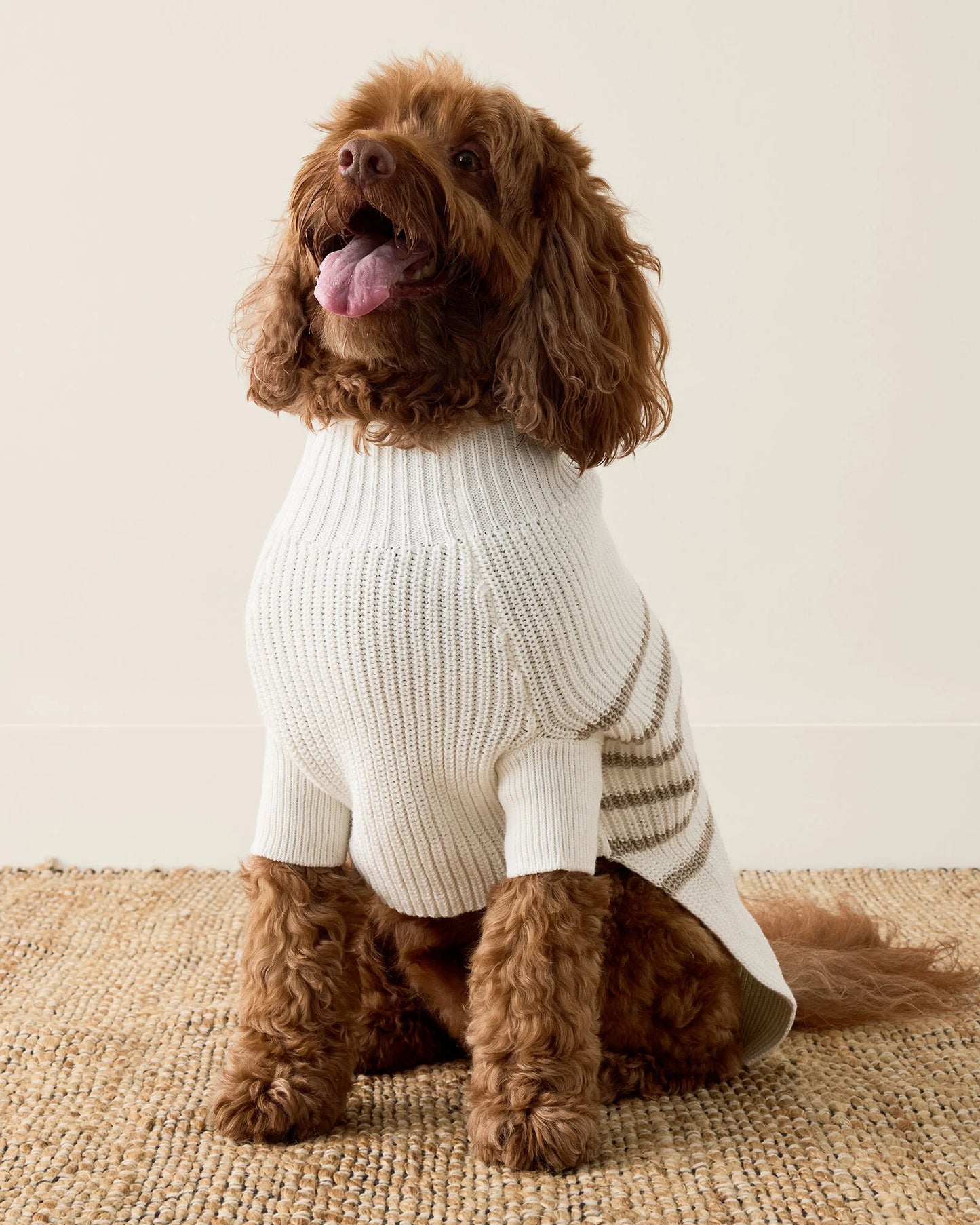 Organic Cotton Striped Dog Sweater