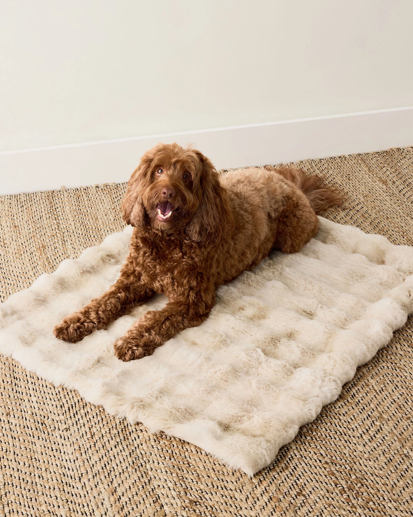 Faux Fur Pet Throw Blanket