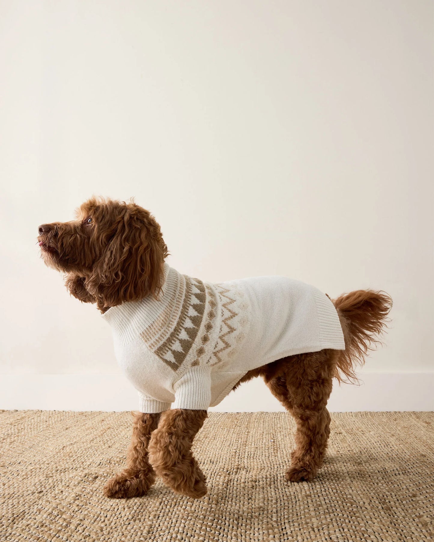 Organic Cotton Blend Fairisle Dog Sweater
