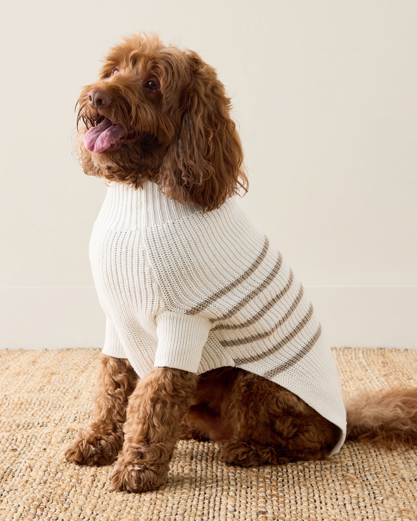 Organic Cotton Striped Dog Sweater