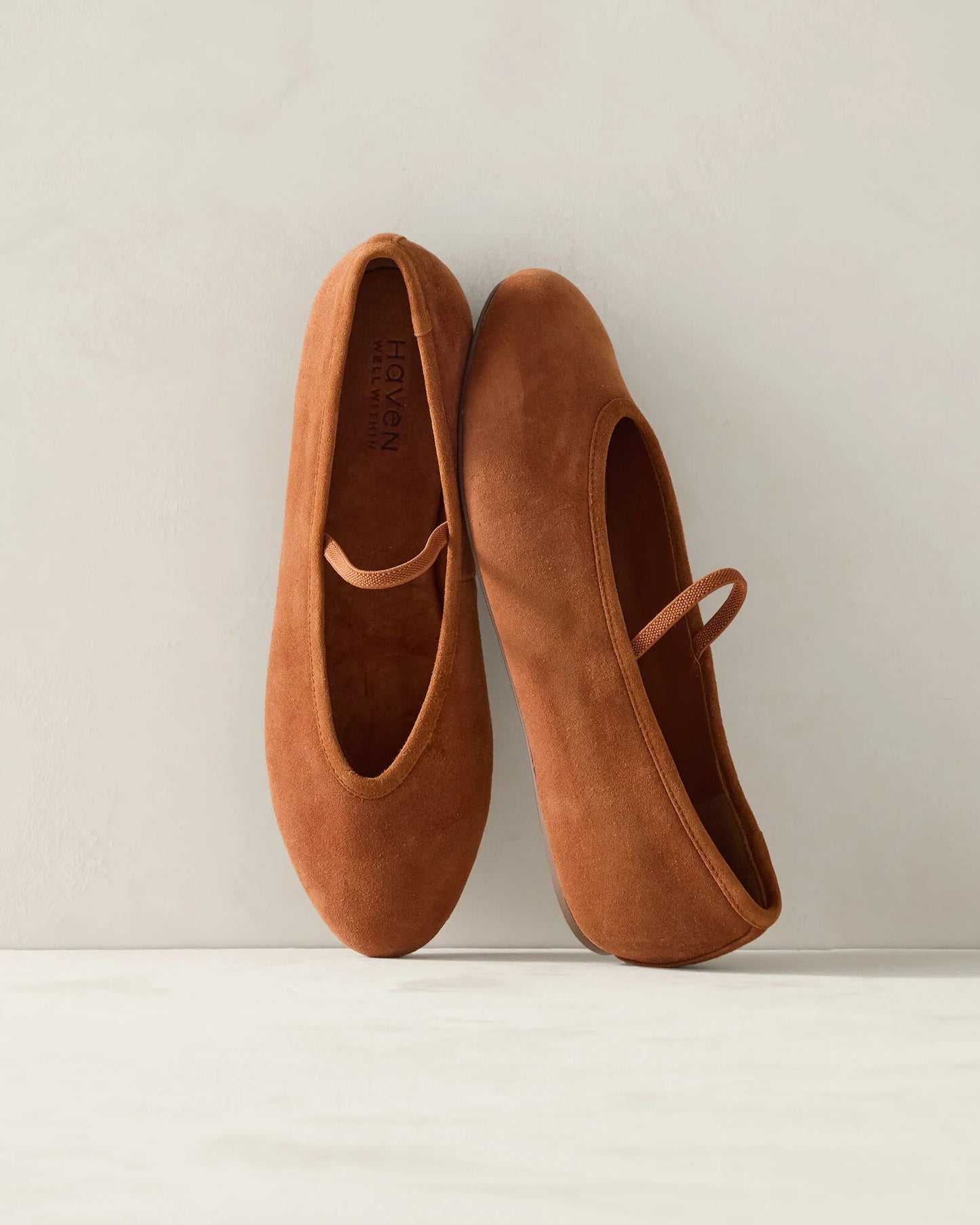 Suede Mary Jane Ballet Flats